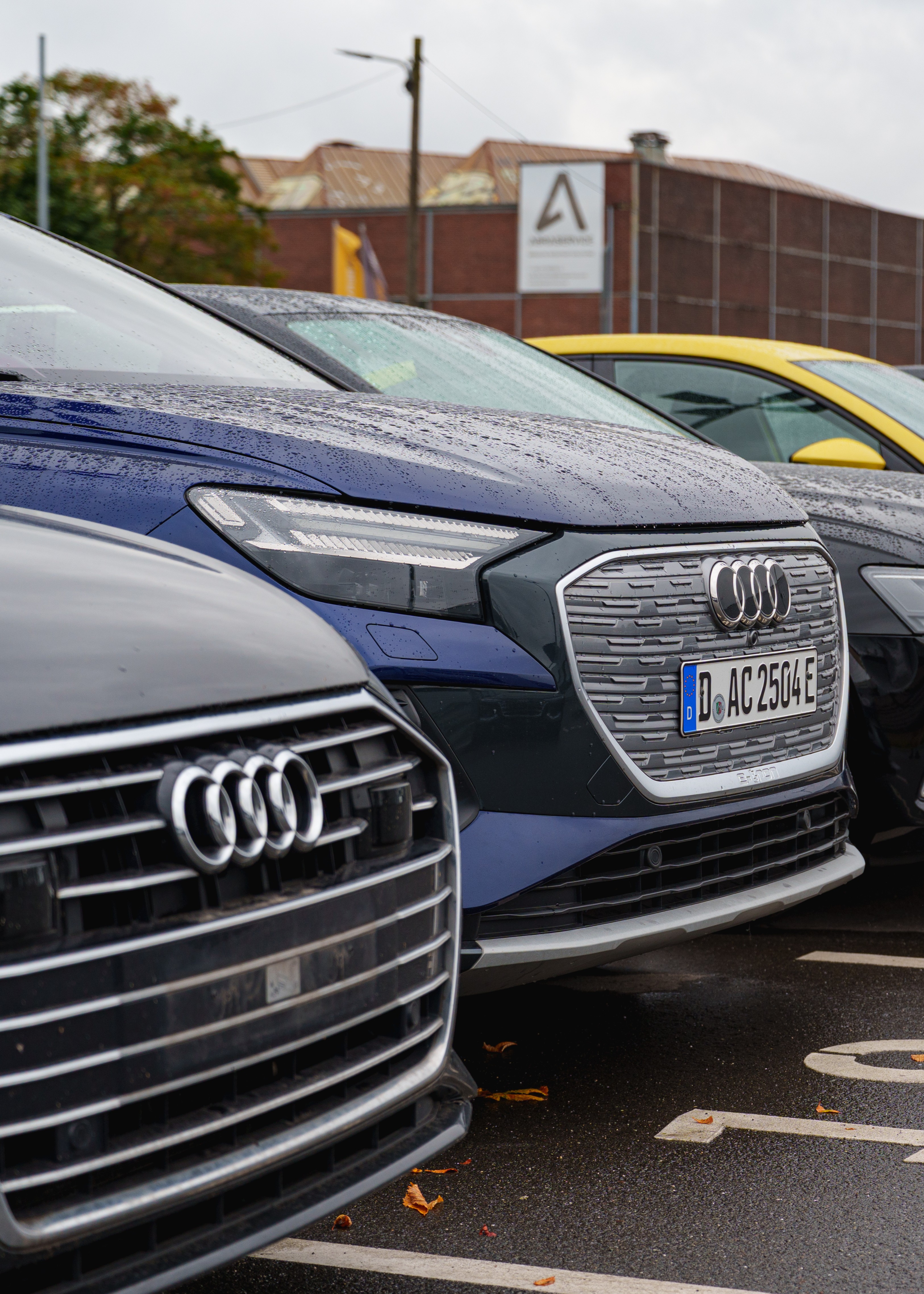 adobestock 1897335029 editorial use only